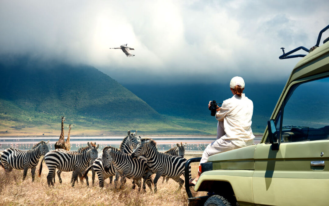 Explore Tanzania with Confidence – Safetiness
