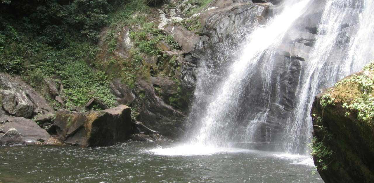 udzungwa
