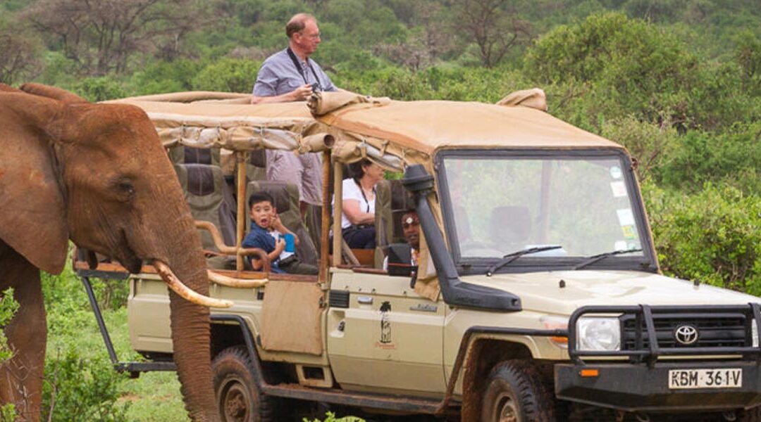 Private Safari Vs Group Safari: What is the difference?