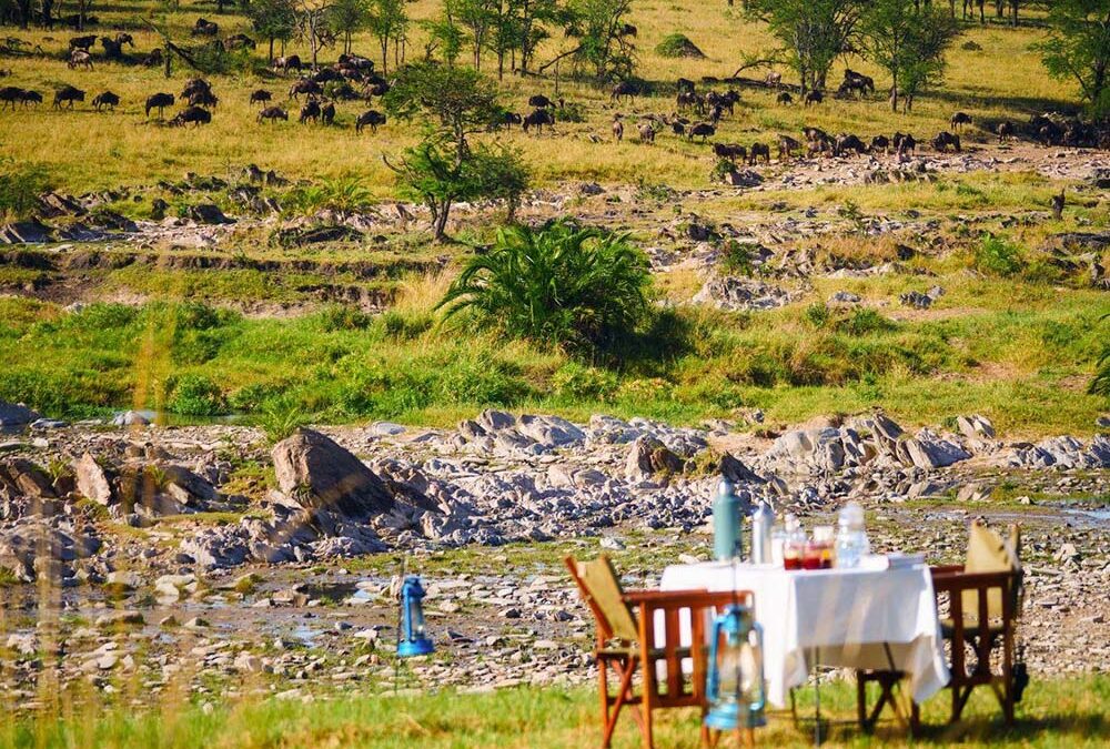 Tanzania Safari Cost 2026: Complete Guide (Budget, Mid-Range & Luxury)