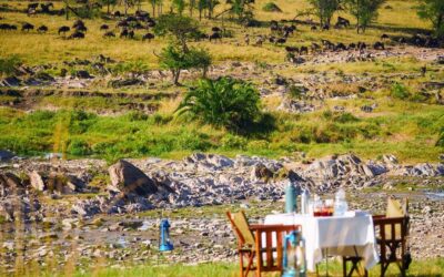 Tanzania Safari Cost 2026: Complete Guide (Budget, Mid-Range & Luxury)